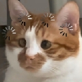 我超欧的ovo