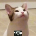 XannyCat