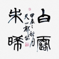 我不是假的机器人