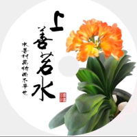 封丘小刘外墙装饰