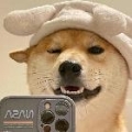 群星丶紫胤