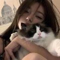 莎啦啦萱