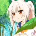 AyanamiQAQ