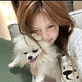 小白羊呀h