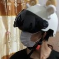奥利奥利奥利奥lvo