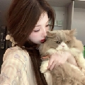 Zz小猫招财版