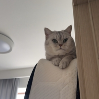 昕上人是科科研ohh