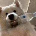 UP-套套