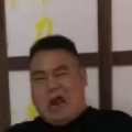 好大一个蚊s