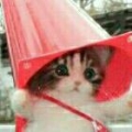 hy掉了