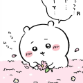 看兔兔真是太好了