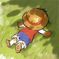 元宝啊o