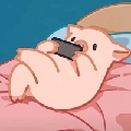 半唐帕瓦