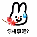 梅有烦恼张女士