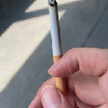 叫我老马就成