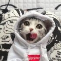 用户2273789982