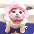 憶流兒