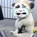 小鱼儿丶和平精英