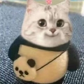 Crazyhamster27