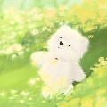 山止月