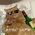 我要宰猪99