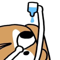 Bae橙软软