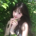 楊思念n