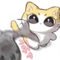光bo的超人