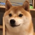 永远滴神OvO.