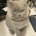 主播张慢慢