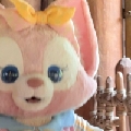 可宋kk