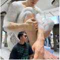 小白小白bayee
