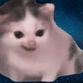 胖头鱼先生丶