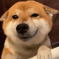 zw瑜鸿