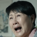 阿尔特塔Taz