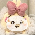 xiaodanbaoo