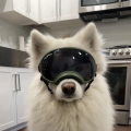 HnAOwO