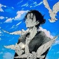 自由的freedom