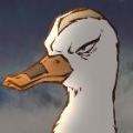 消毒液Xd0y