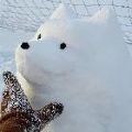 小hy-cMaTgoJVxy