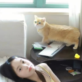 萌果西米露