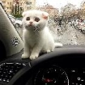 我不是偶像CR7