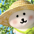 小松妙法