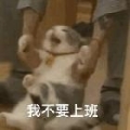 Mo丷.