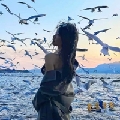 小桂沅o