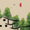 成藏獒吧
