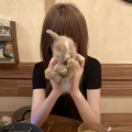 布灵布灵echo