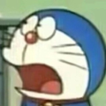 小熊猫zyy