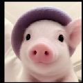 洋洋81秒