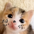 nnvjk
